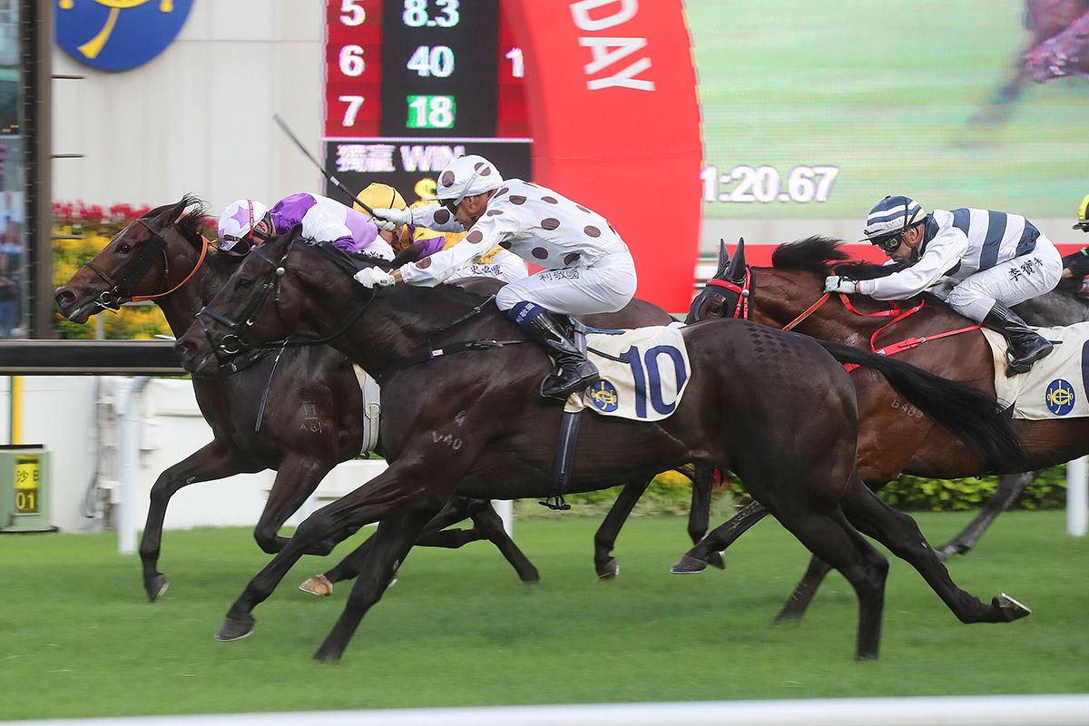 Rattan (purple and white silks) is just edged out by World Record (outside) on his reappearance last week.
