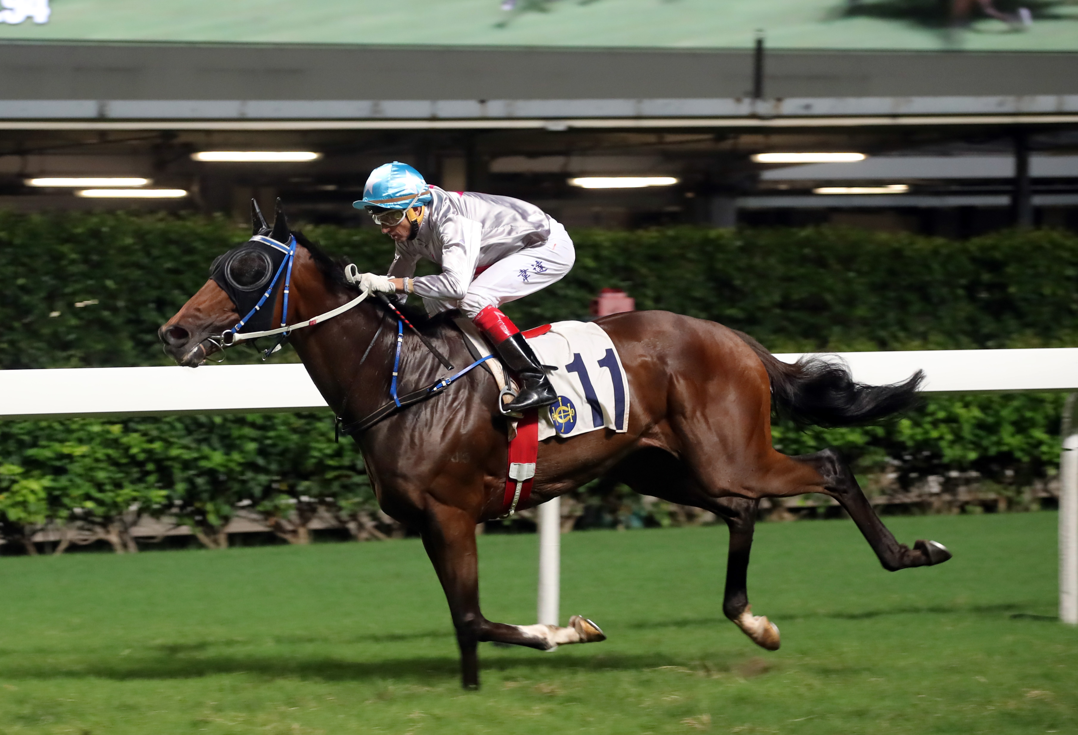 Limitless will attempt to back-up his last start win at Happy Valley