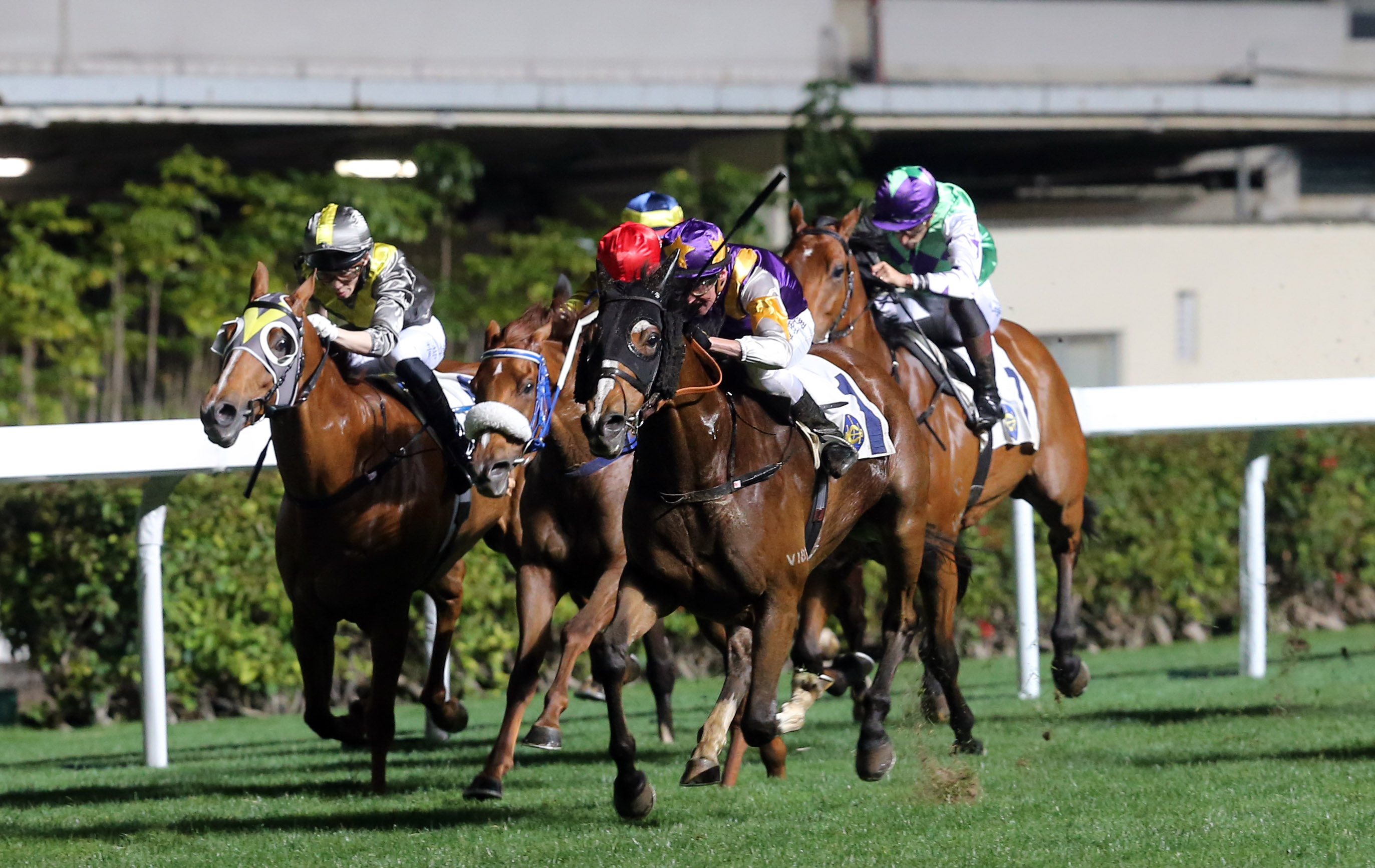 Litterateur (near side) is chasing a fifth win at the course and distance.