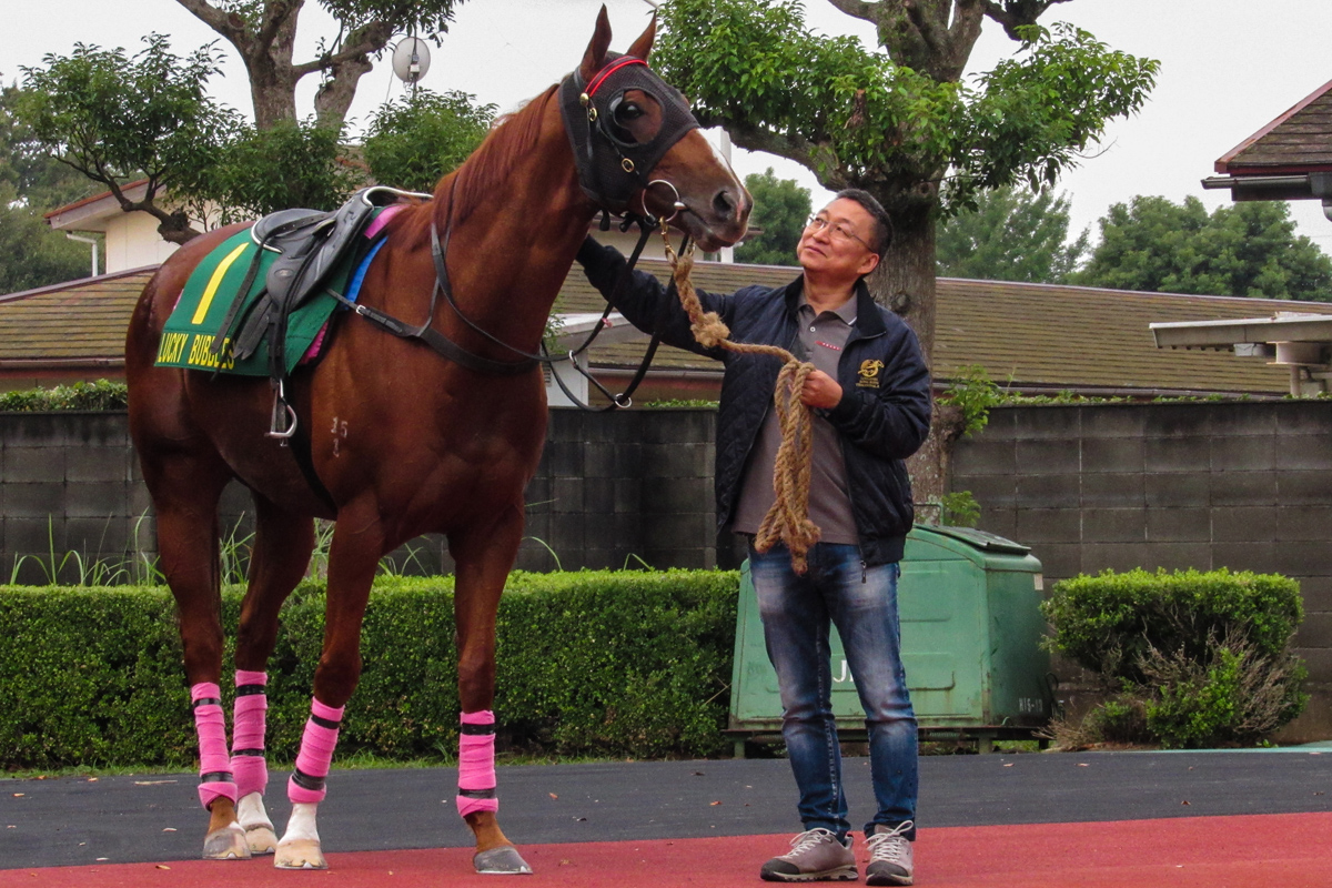 Trainer Francis Lui with Lucky Bubbles after Saturday morning exercise.