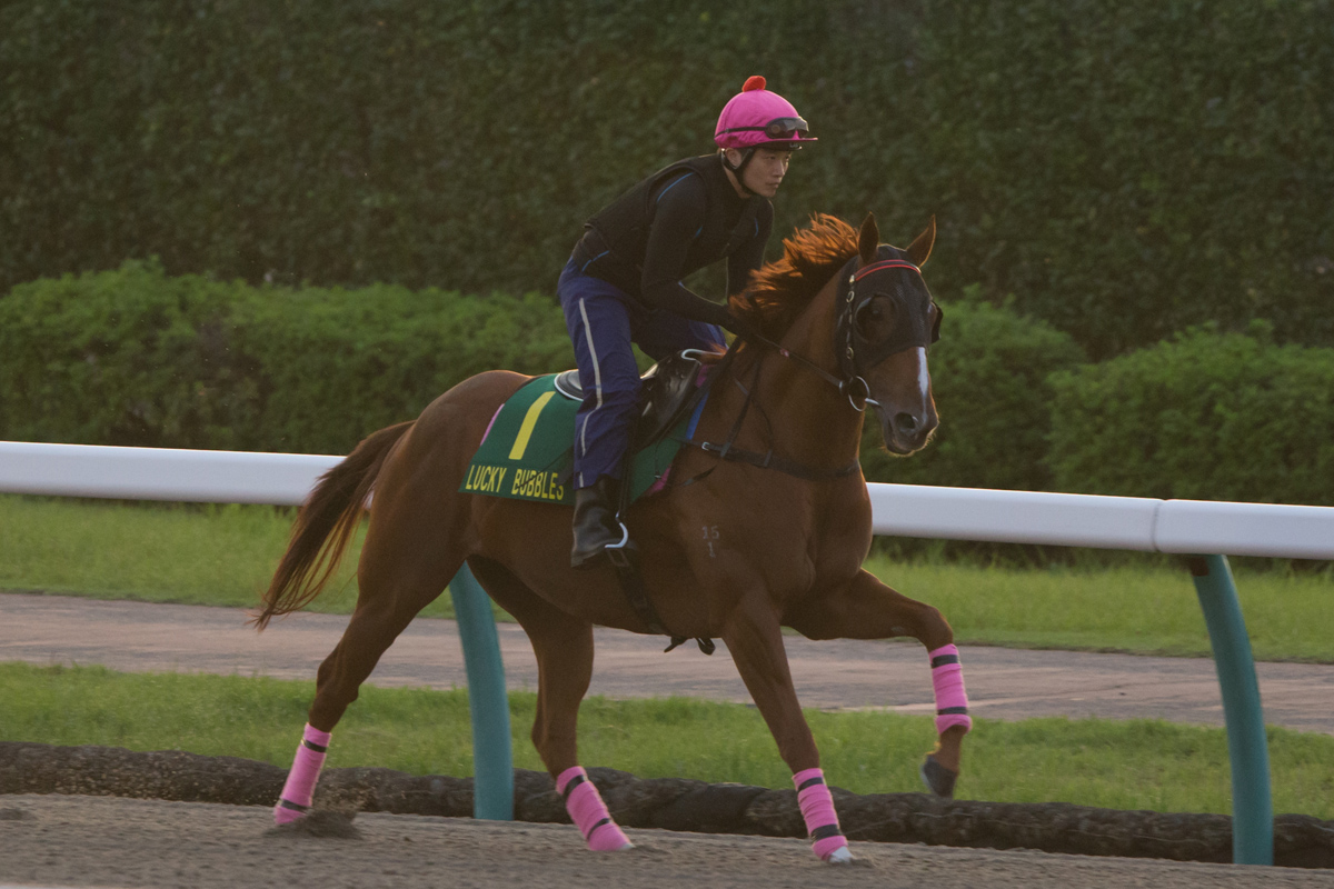 Lucky Bubbles works left-handed on the Nakayama dirt track.
