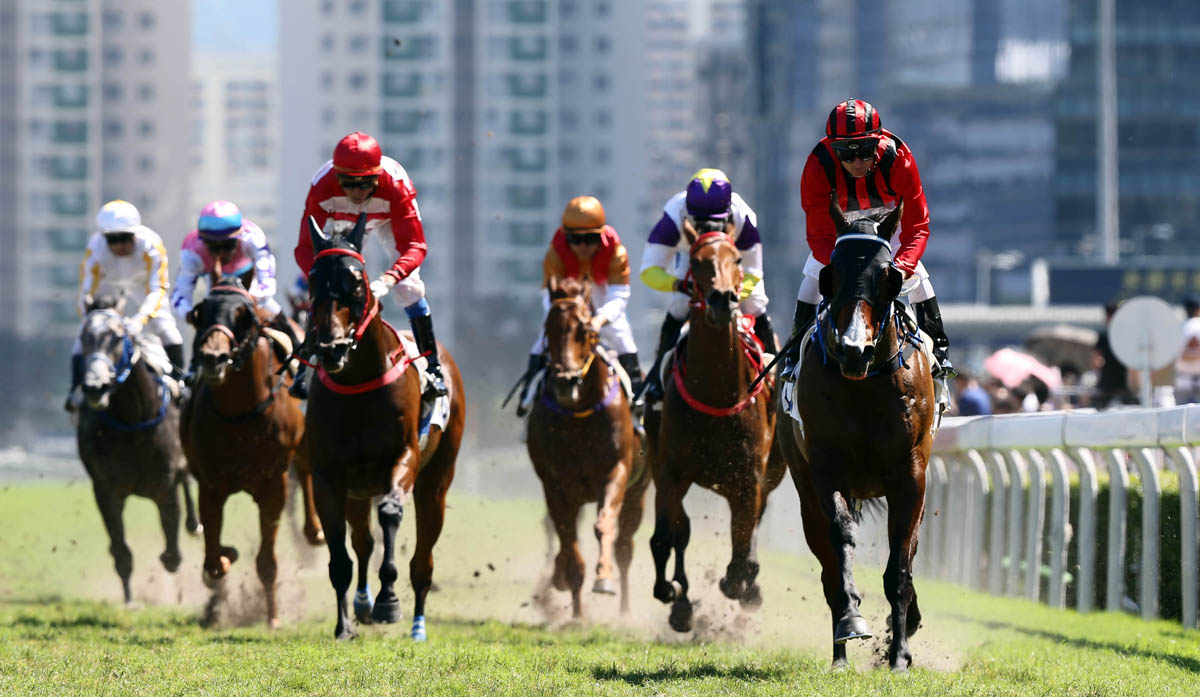 Montreal (right) opens his Hong Kong account in style over the Sha Tin straight course.