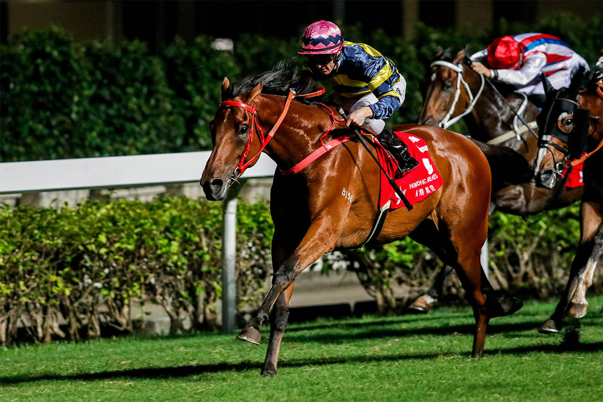 John Size-trained Insayshable (No. 5), ridden by Zac Purton, prevails to win the Kwoon Chung Bus Cup at Happy Valley Racecourse tonight.
