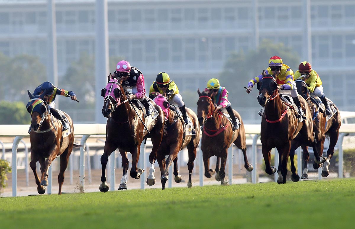 John Moore-trained Beauty Generation (No.1), with Zac Purton on board, takes the G3 Celebration Cup (1400m) at Sha Tin Racecourse today.