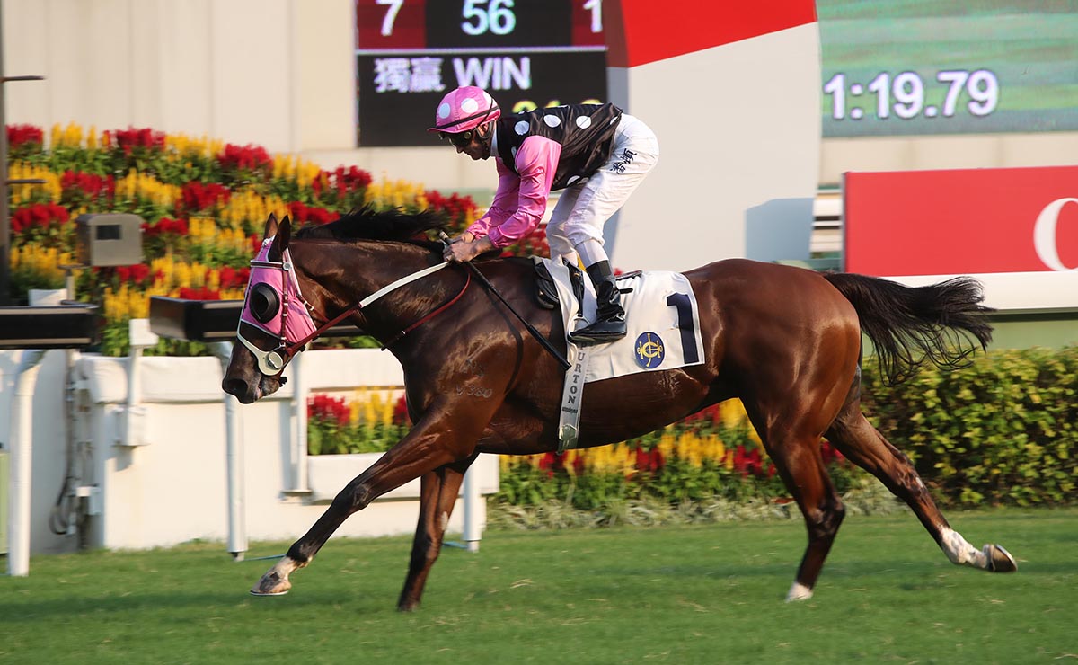 John Moore-trained Beauty Generation (No.1), with Zac Purton on board, takes the G3 Celebration Cup (1400m) at Sha Tin Racecourse today.