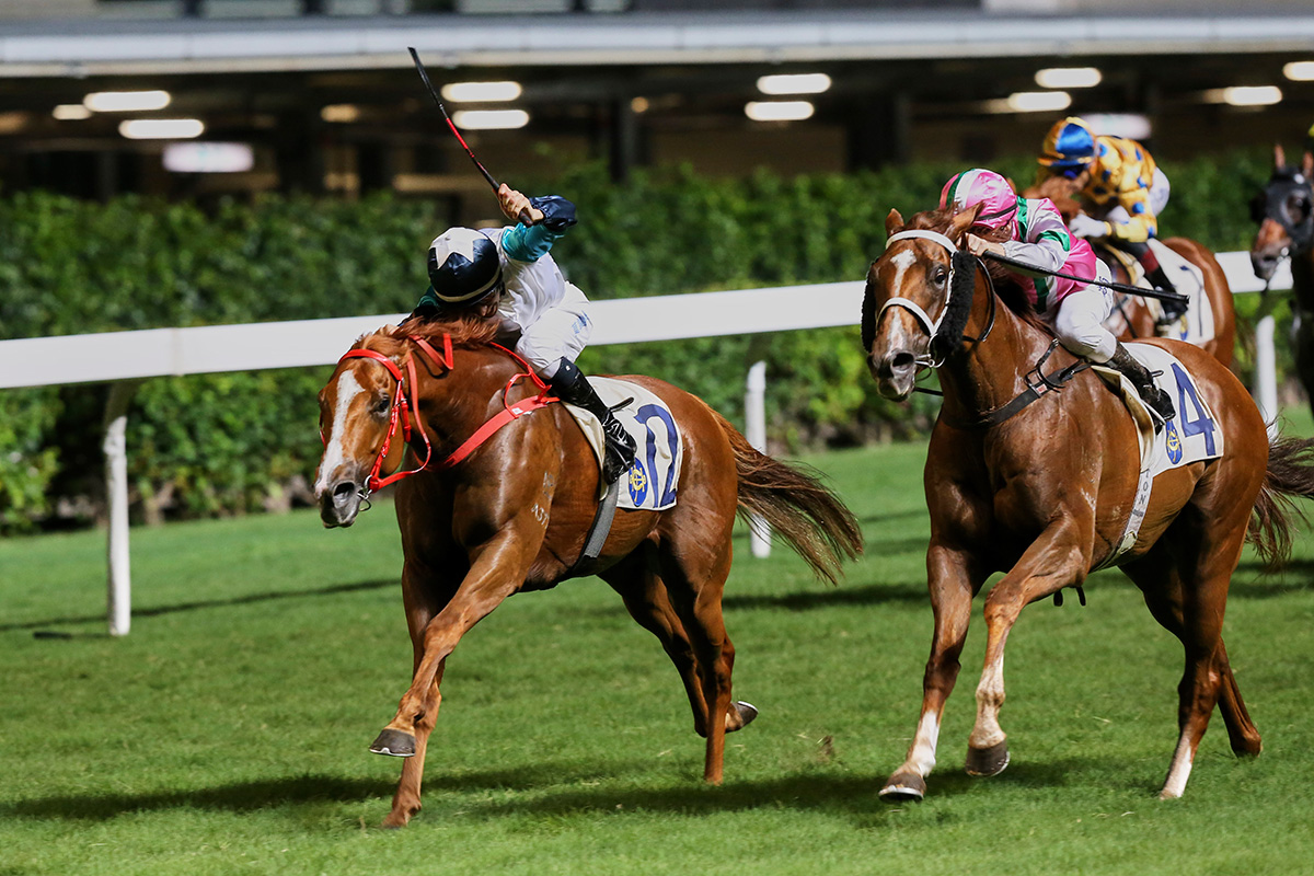 Gunnison gains his first Hong Kong win at the course and distance last May.