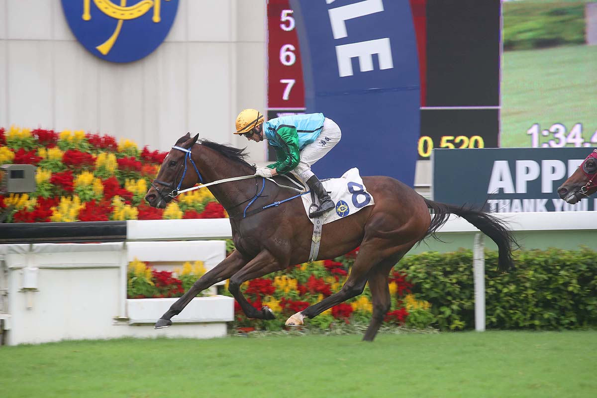 Rise High lands the Sha Tin Mile Trophy in style last season.