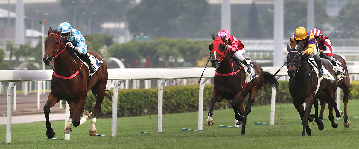 Conte (No. 2), trained by John Size and ridden by Joao Moreira, takes the Class 2 event of Lukfook Jewellery Cup today.