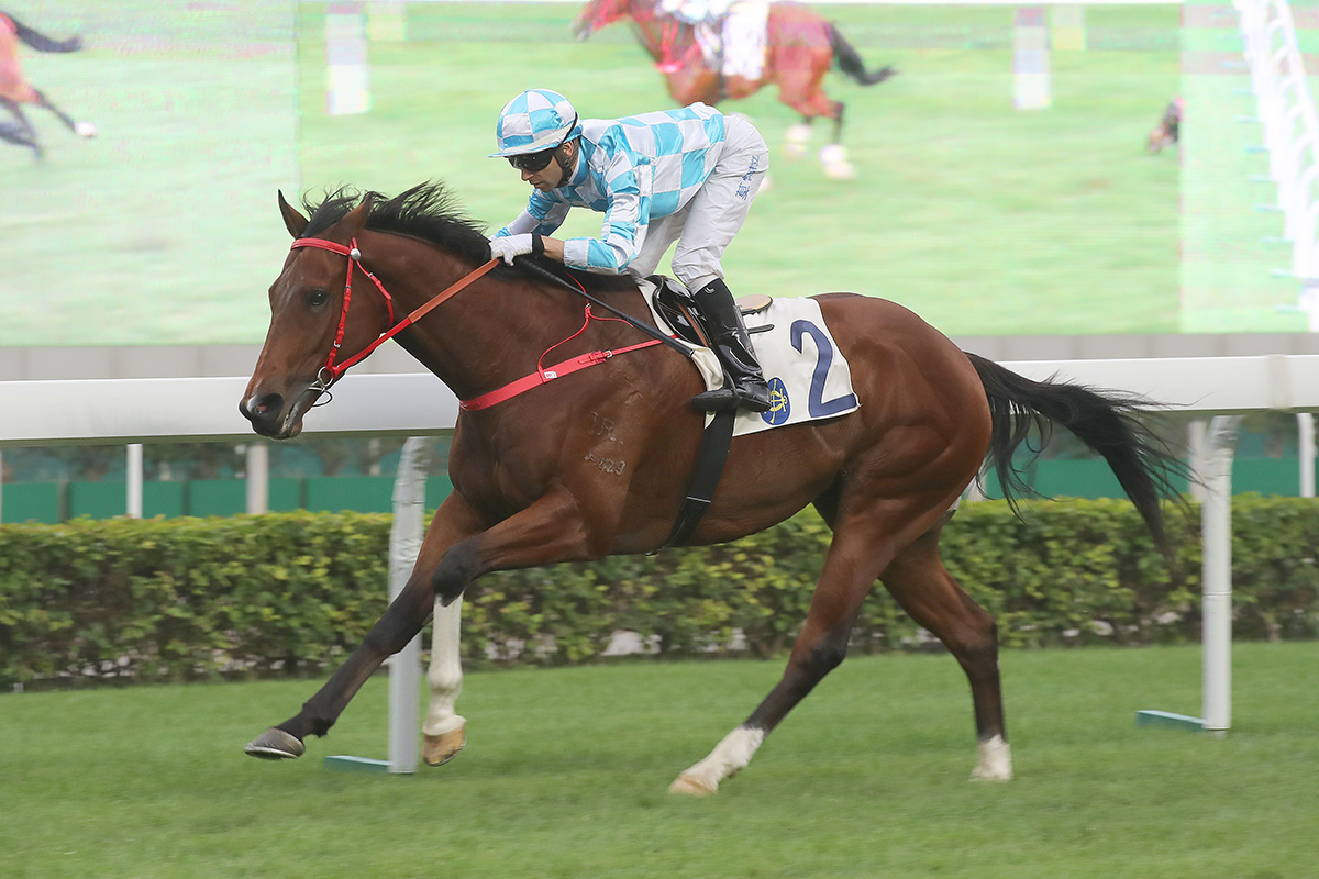 Conte (No. 2), trained by John Size and ridden by Joao Moreira, takes the Class 2 event of Lukfook Jewellery Cup today.