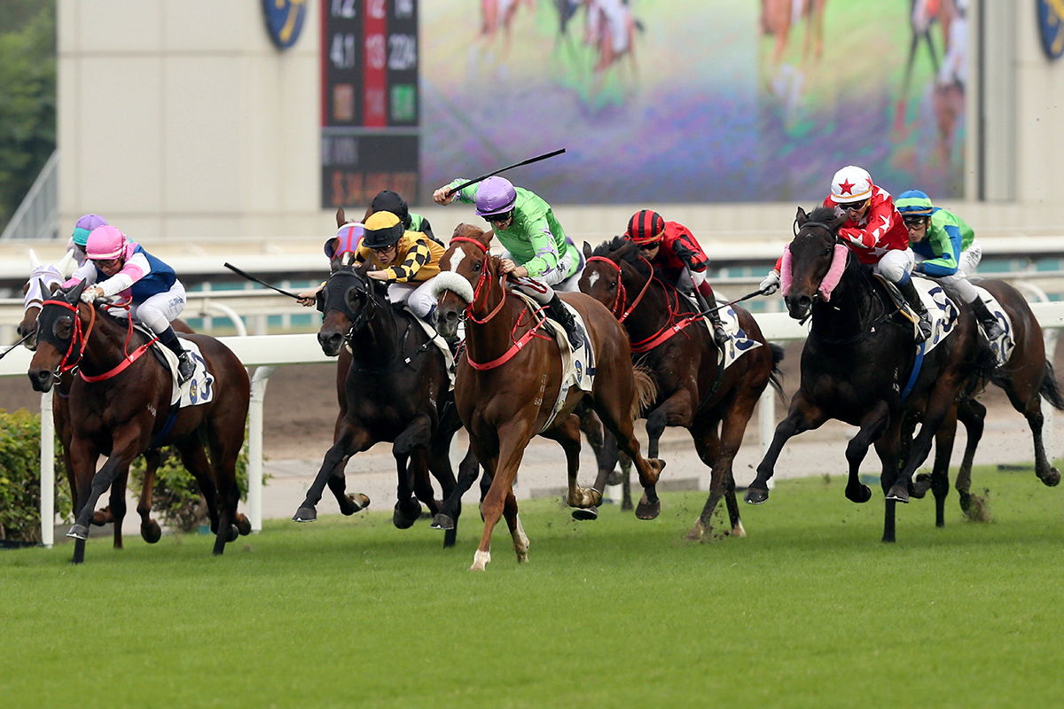 Witness Hunter (in green) doubles up with his win over the course and distance last start.