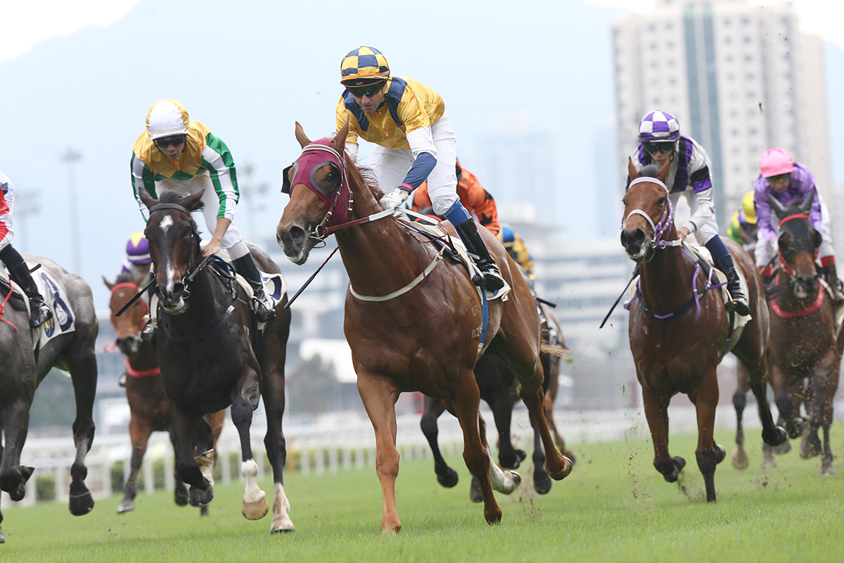 Styling City bids to make it three wins in a row down the Sha Tin straight on Sunday.