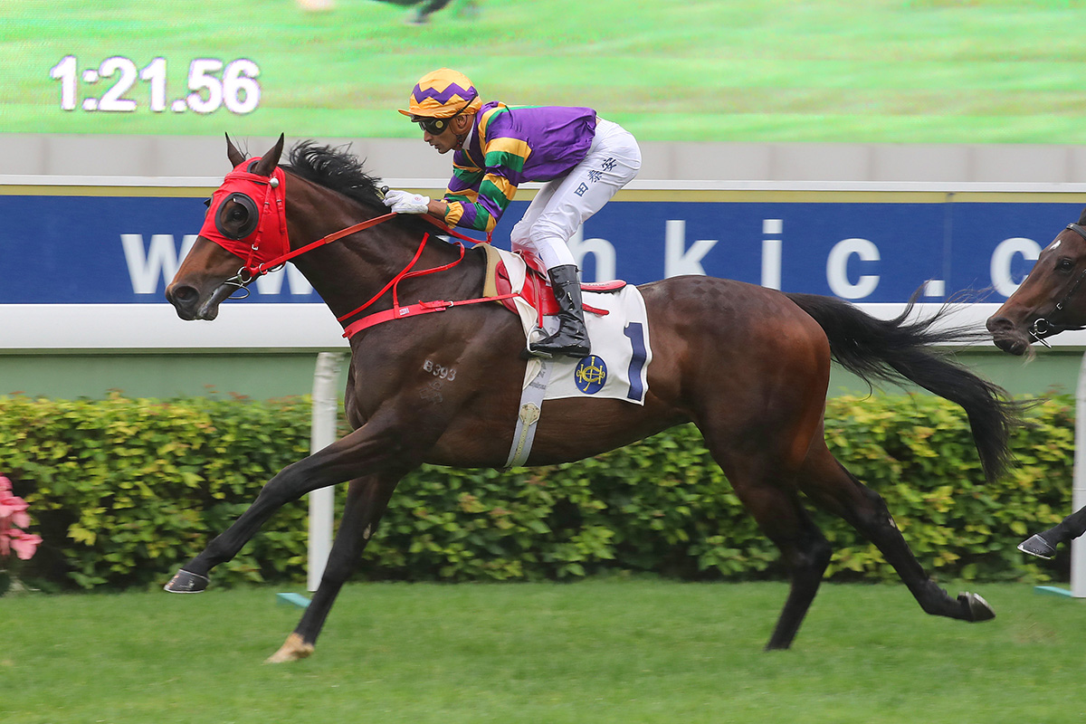 Ridden by Karis Teetan, the Danny Shum-trained Perfect Match takes the Griffin Trophy (1400m) at Sha Tin Racecourse.