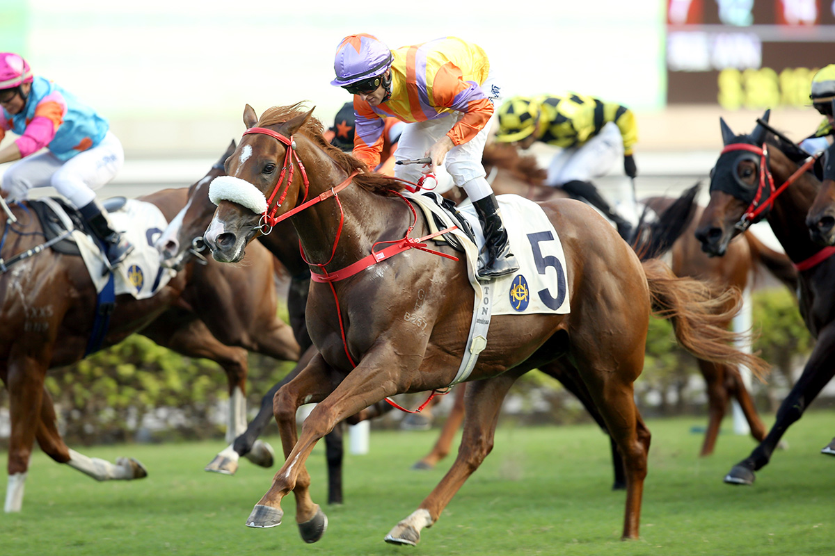 Superich wins his seasonal debut at the National Day meeting on 1 October.