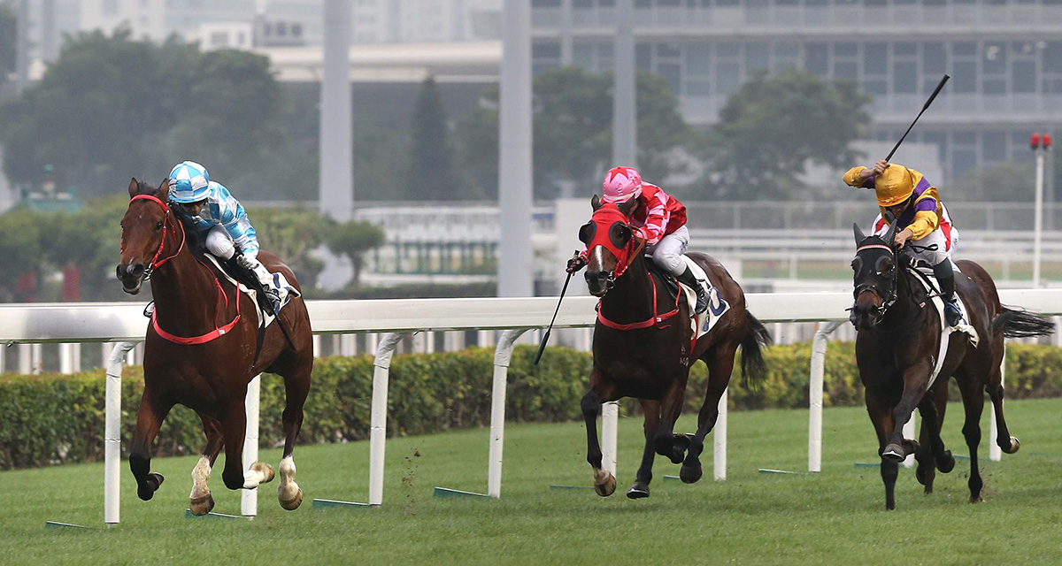 Conte is a big attraction on Sha Tin's Lucky Start card.