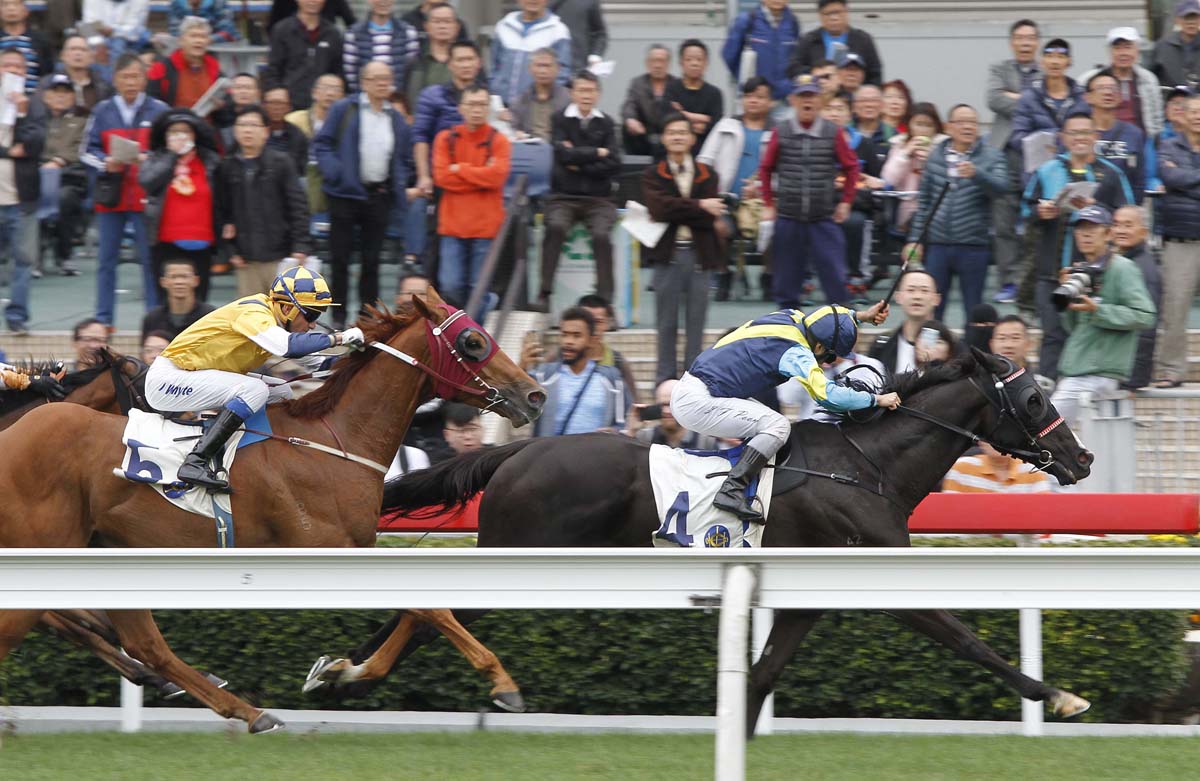 The Ricky Yiu-trained Jolly Banner, ridden by Matthew Poon, wins the G3 Bauhinia Sprint Trophy (1000m Handicap) at Sha Tin Racecourse today.