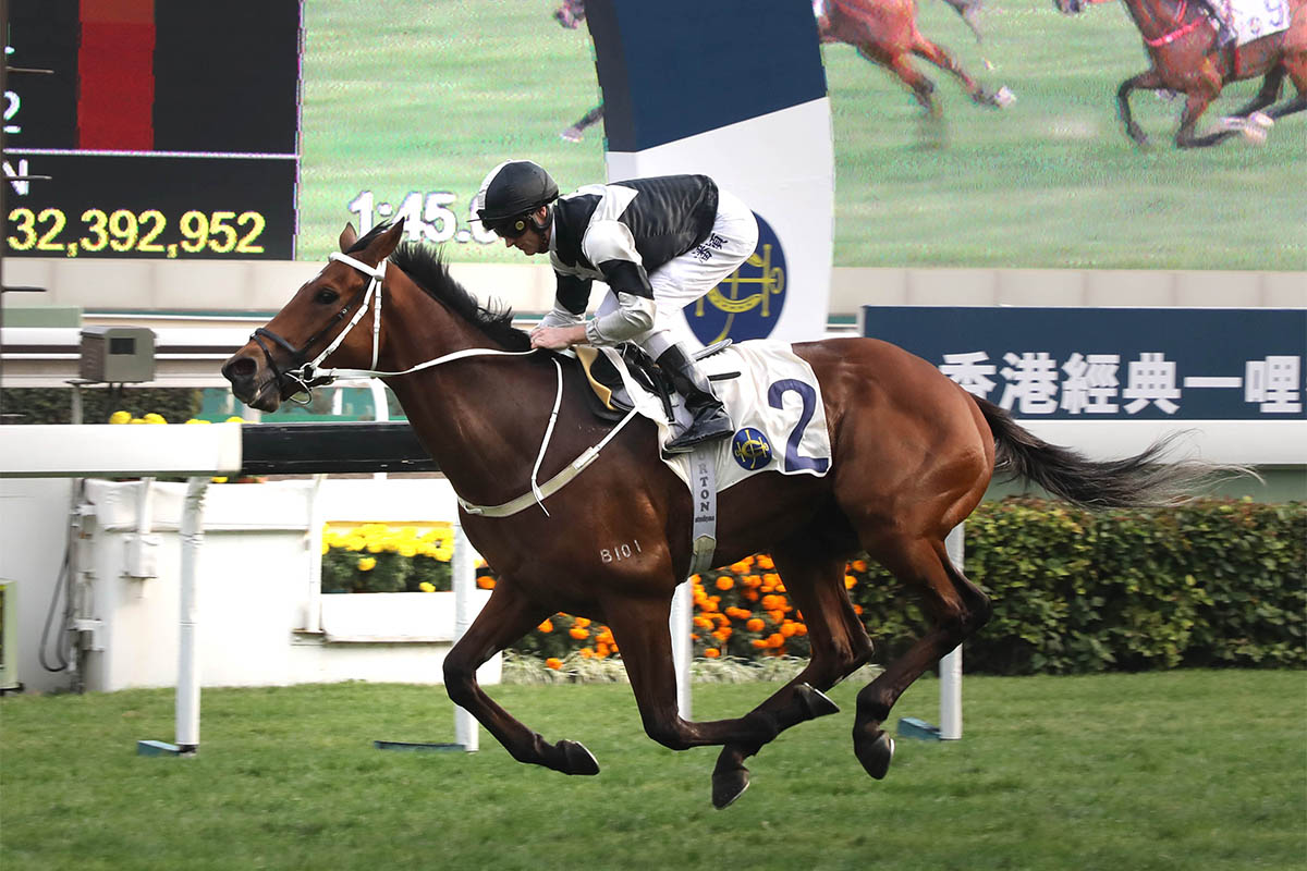 The Tony Cruz-trained Exultant, with Zac Purton atop, wins the Group 3 Centenary Vase Handicap (1800m) at Sha Tin today.