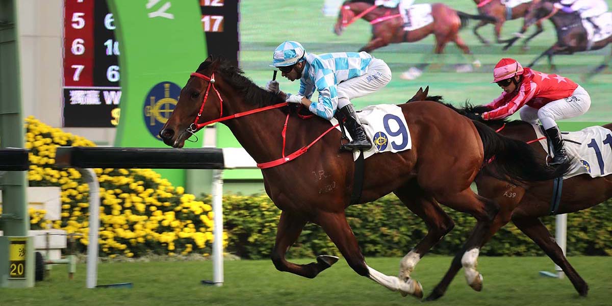 Conte (No. 9), with Joao Moreira in the saddle, claims the Group 3 Chinese Club Challenge Cup (1400m Handicap) at Sha Tin Racecourse today.