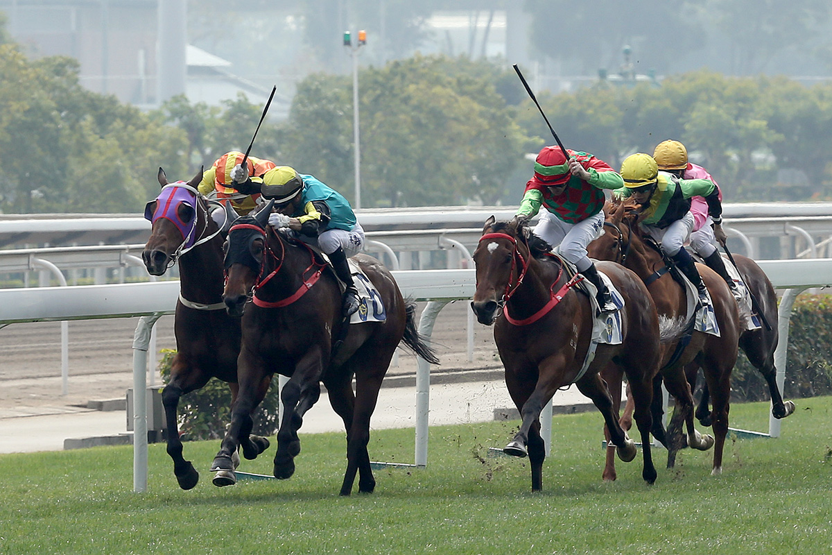Regency Legend (red and green) makes it three wins from three when taking a 1200m Class 2 handicap today.