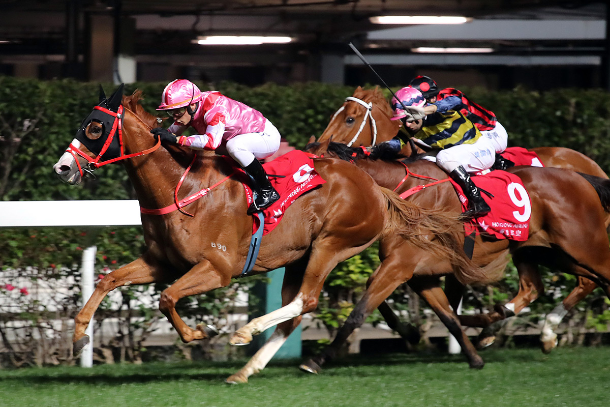 The Frankie Lor-trained Simply Brilliant with Alexis Badel atop wins the Group 3 January Cup (1800m) at Happy Valley tonight.