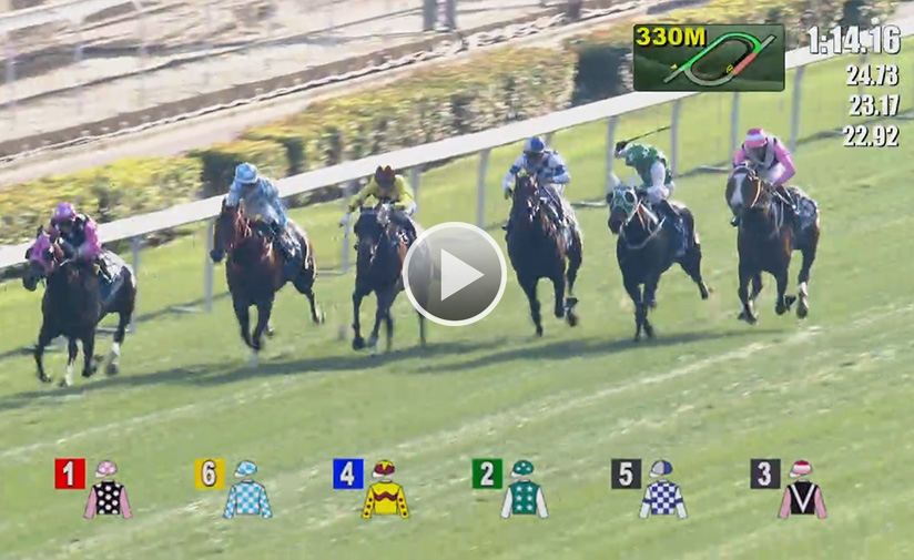 Beauty Generation dominates the Stewards’ Cup for a fifth G1 win.