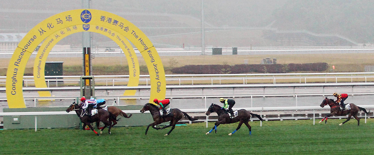 Five horses race across the winning arch in the first barrier trial for the Exhibition Raceday.