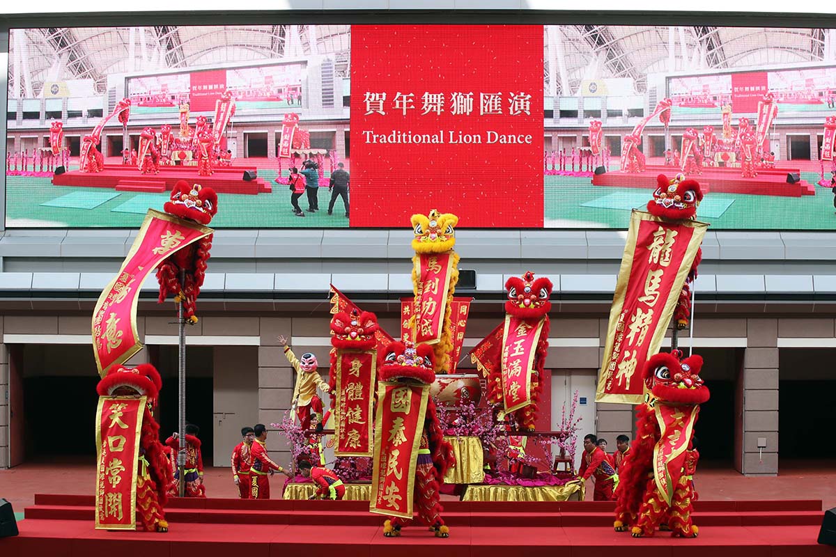 A spectacular lion dance summons good fortune for the New Year.