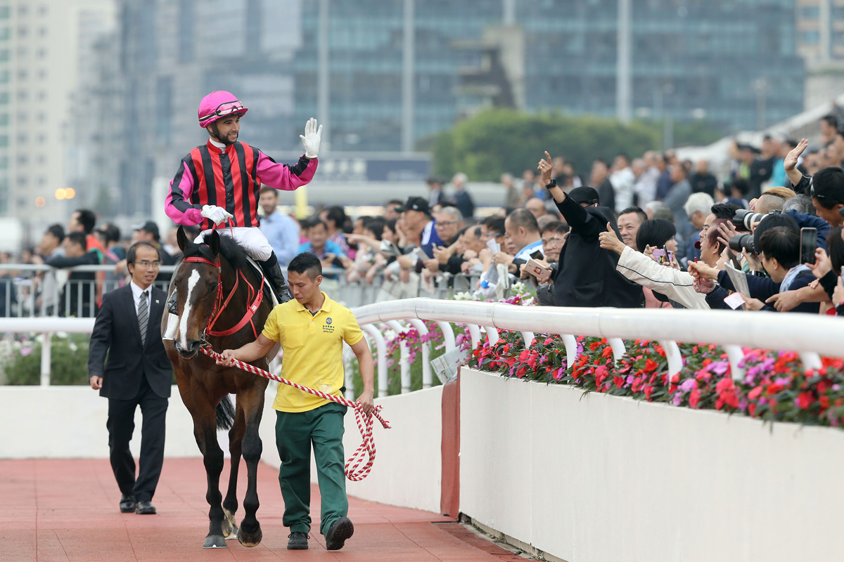 Waikuku has emerged as a strong Hong Kong Derby candidate.