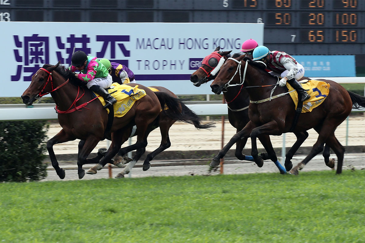 Macau Horse Racing