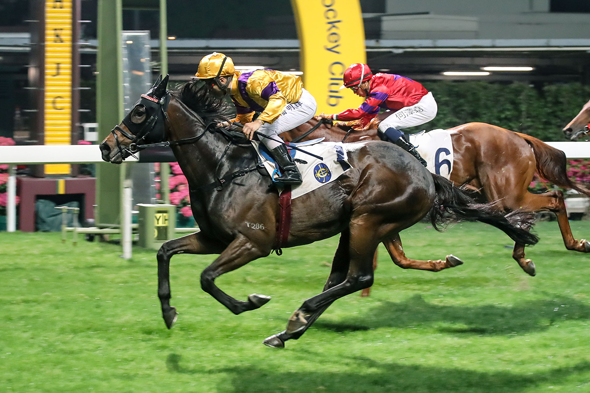 Citron Spirit (No. 1), trained by Ricky Yiu and ridden by Matthew Poon, wins the Class 1 Happy Valley Vase (1800m) at Happy Valley tonight.