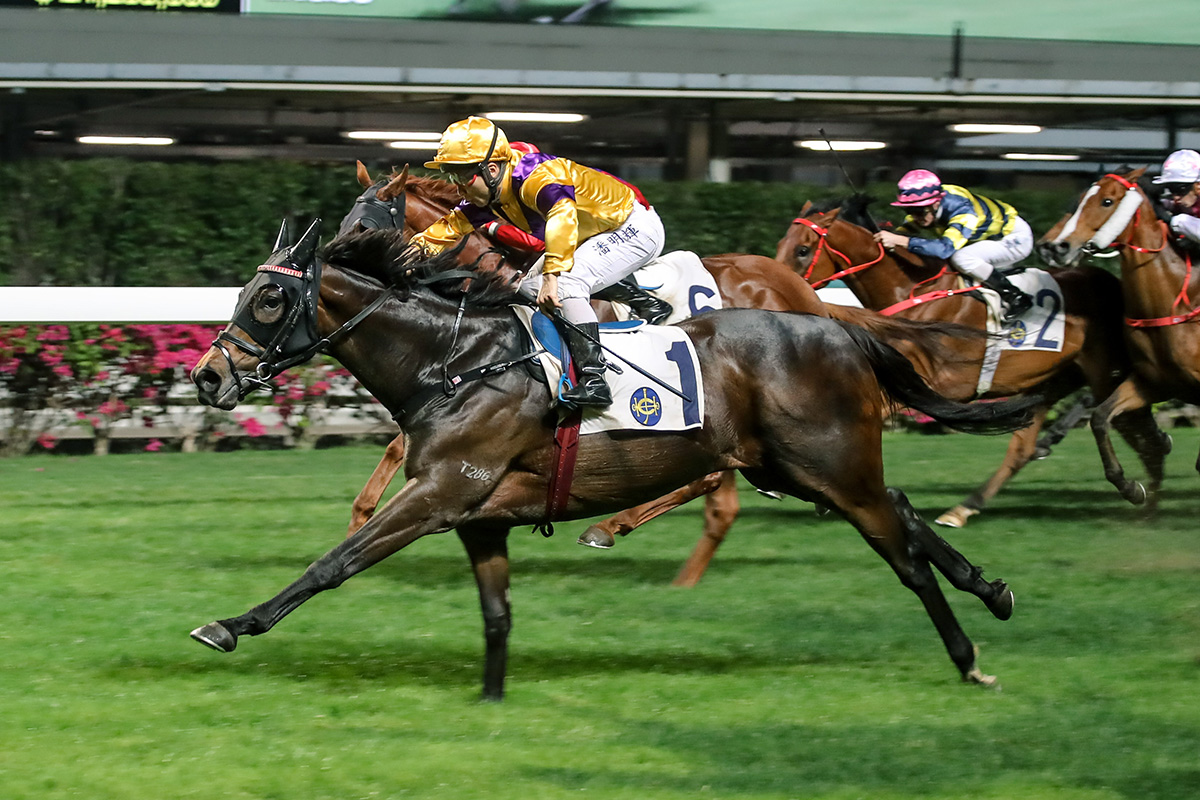 Citron Spirit carries Matthew Poon to victory in the Happy Valley Vase.