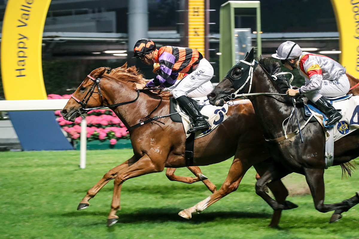 Derek Leung and Speedy King give trainer Ricky Yiu a double.