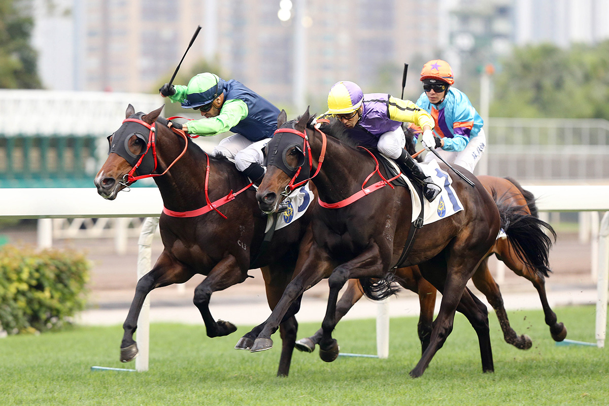 Right Choice (in green) wins the Kowloon Cricket Club Centenary Cup.