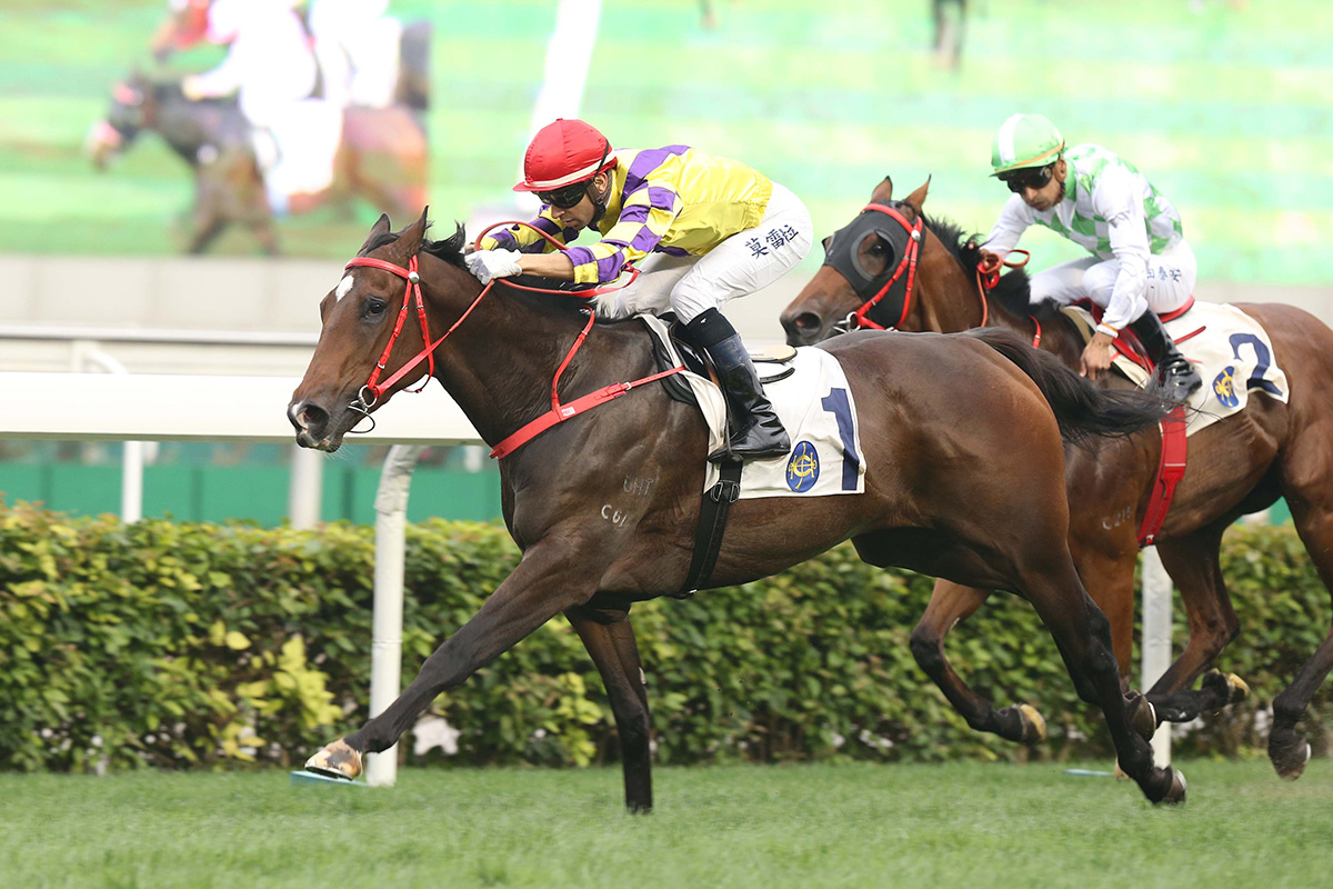 Joao Moreira completes a treble as Champion’s Way wins his fourth race in a row.