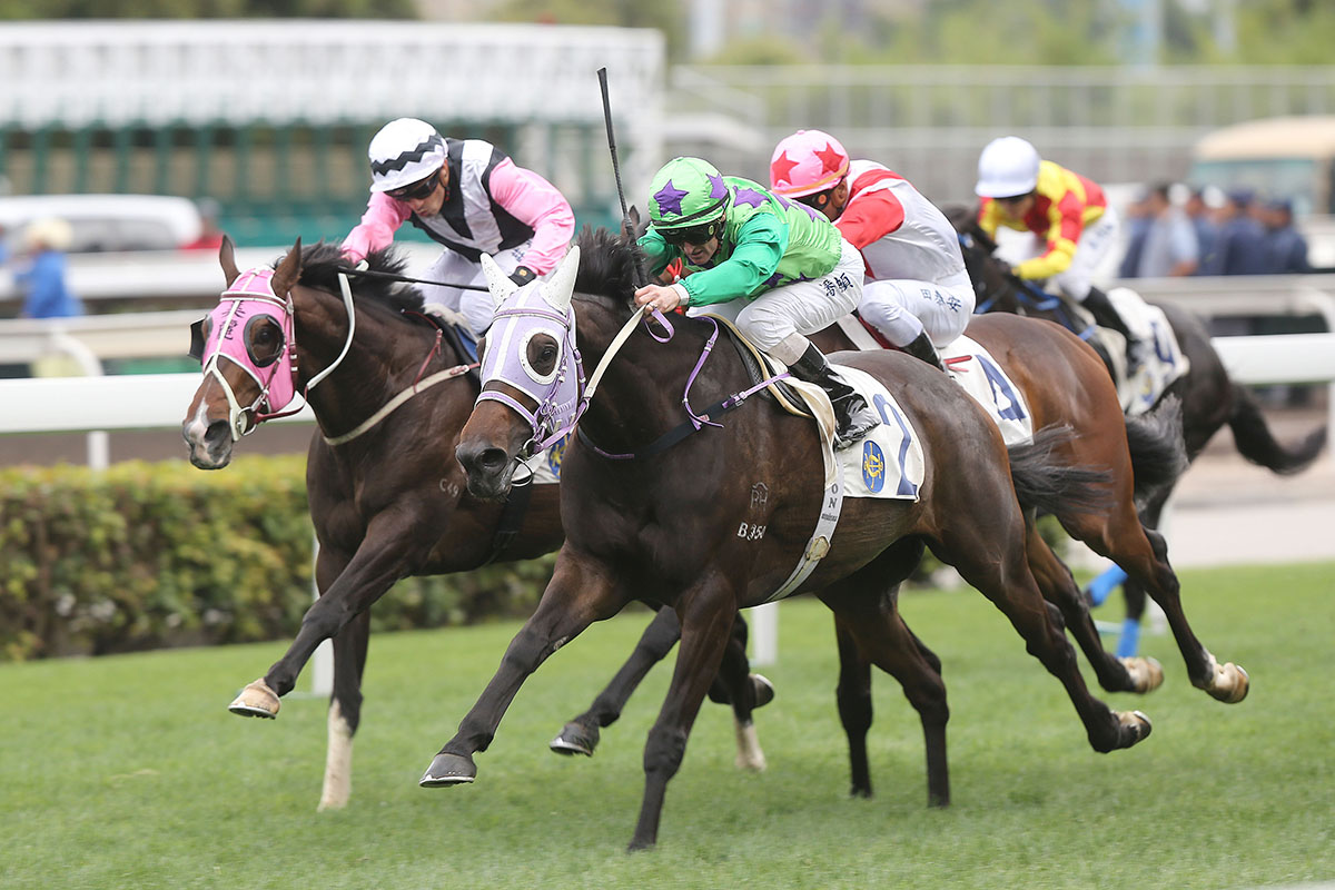 Tianchi Monster scores back-to-back wins under Zac Purton.