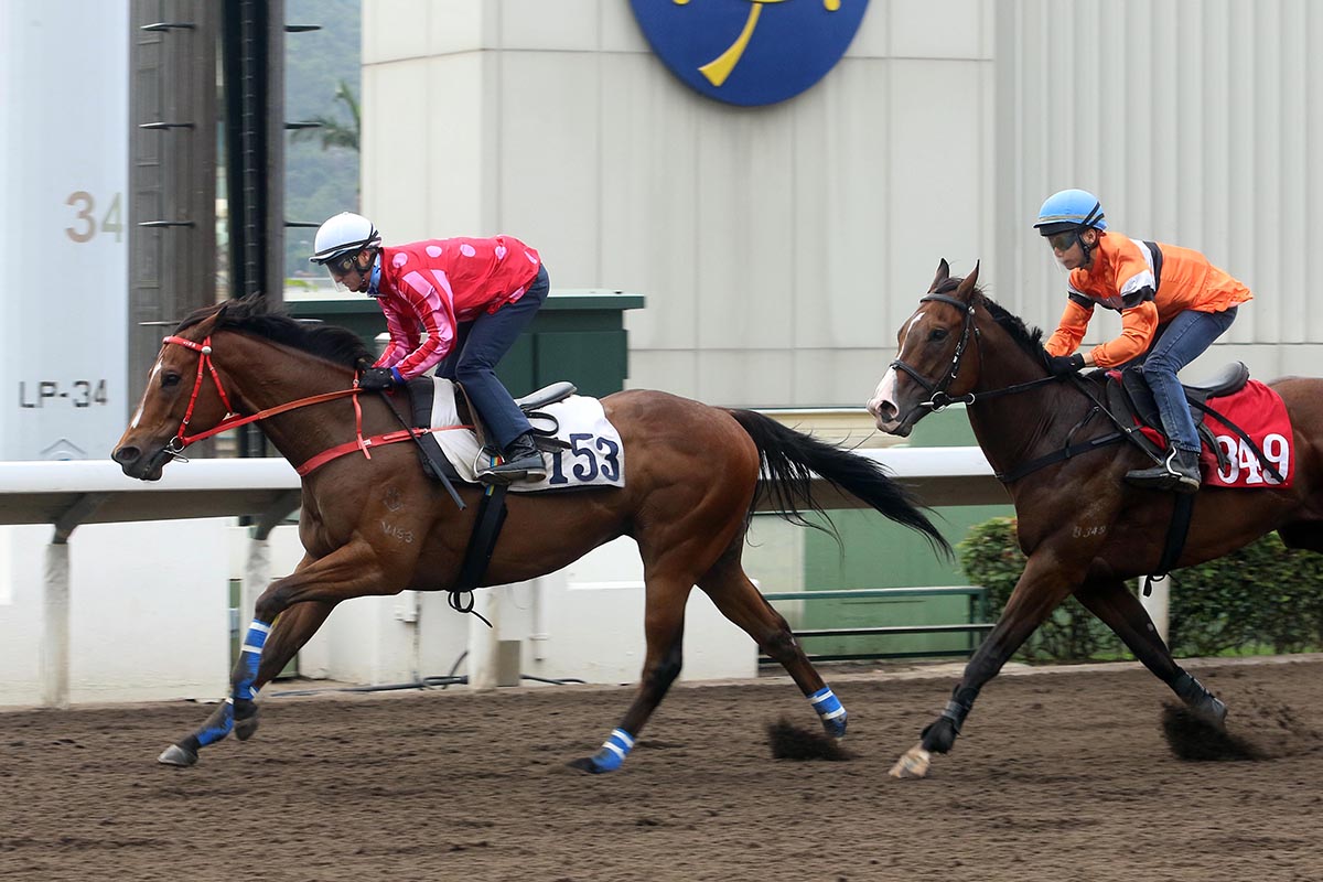 Zac Purton partners Mr Stunning for the first time in a Sha Tin trial.