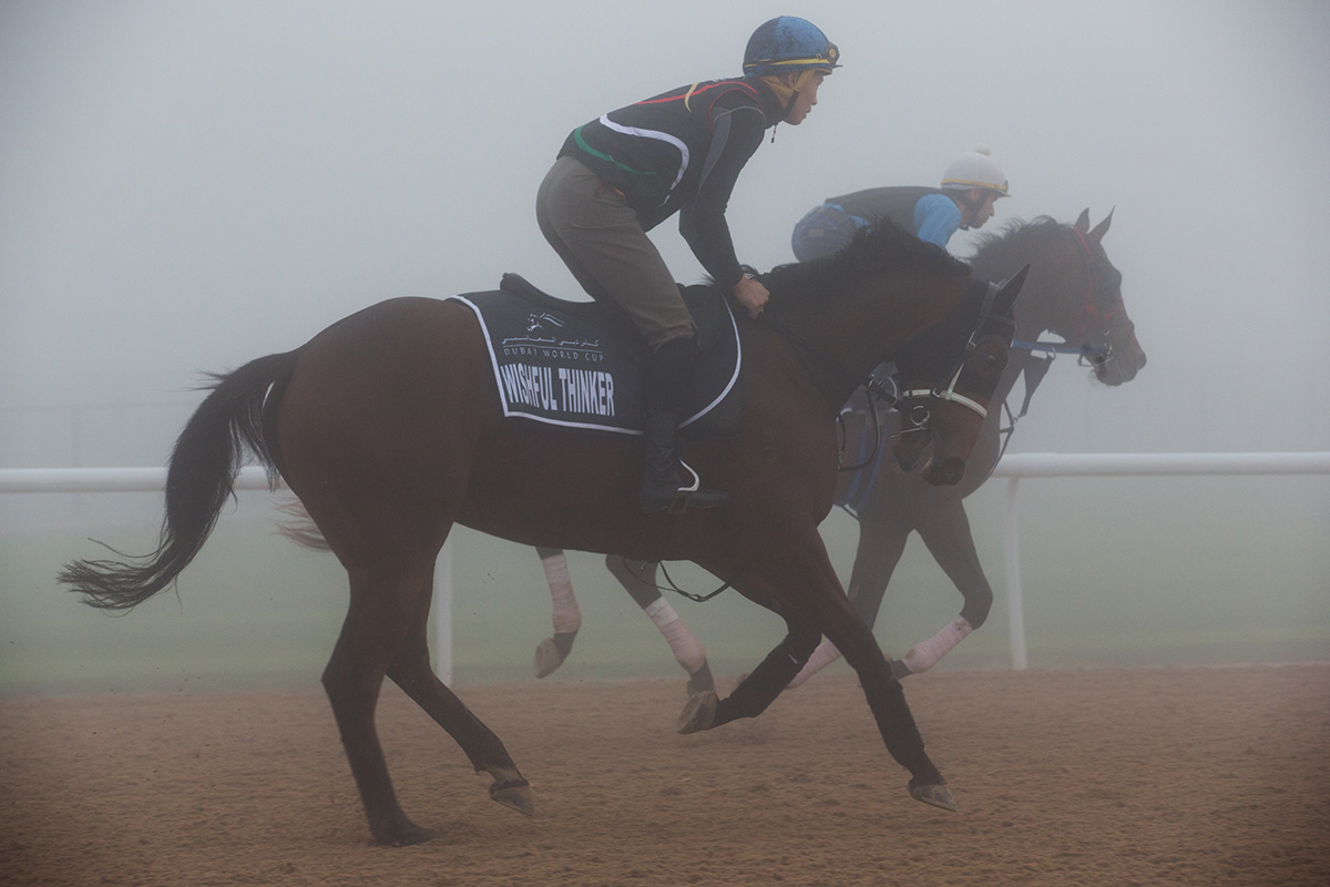 Wishful Thinker prepared for Saturday’s race through thick fog.