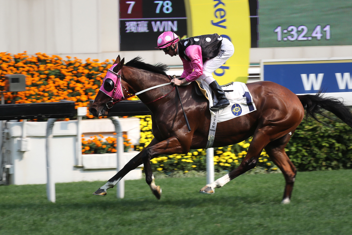 Beauty Generation on Sunday bids for an eighth straight win this season.