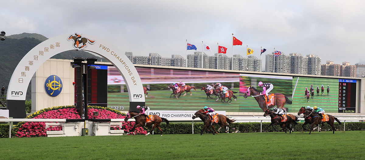 Beauty Generation (No. 1), trained by John Moore and ridden by Zac Purton, wins the Group 1 FWD Champions Mile at Sha Tin Racecourse today. Singapore Sling and Simply Brilliant finish second and third respectively in the HK$18 million event.