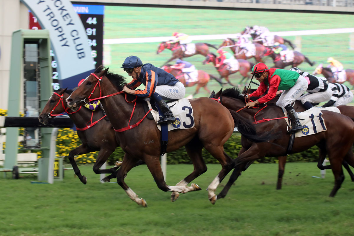 hkjc betting rules horse