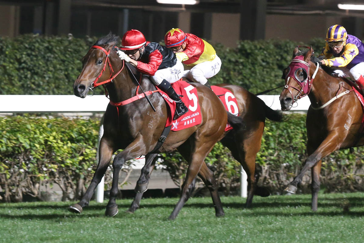 Country Star is a five-time winner over 1200m at the Valley.