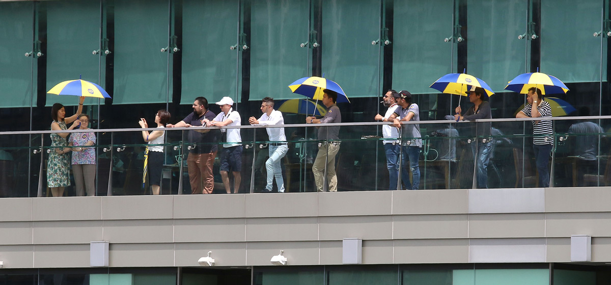 An enthusiastic gathering of horse owners, trainers and guests were on hand to watch the 2019 Hong Kong International Sale (July) Breeze-up at Sha Tin Racecourse today.
