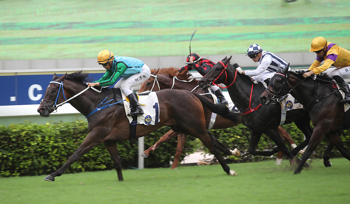 Caspar Fownes-trained Rise High, ridden by Vincent Ho, wins the G3 Premier Plate Handicap at Sha Tin Racecourse today.