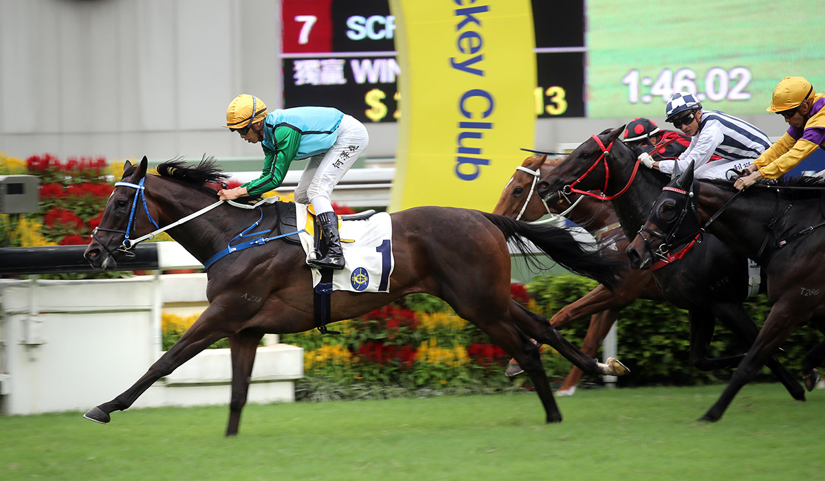 Caspar Fownes-trained Rise High, ridden by Vincent Ho, wins the G3 Premier Plate Handicap at Sha Tin Racecourse today.