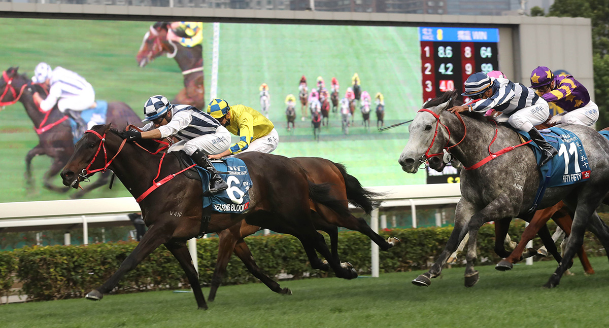 Seasons Bloom has not won since the 2018 G1 Stewards’ Cup.