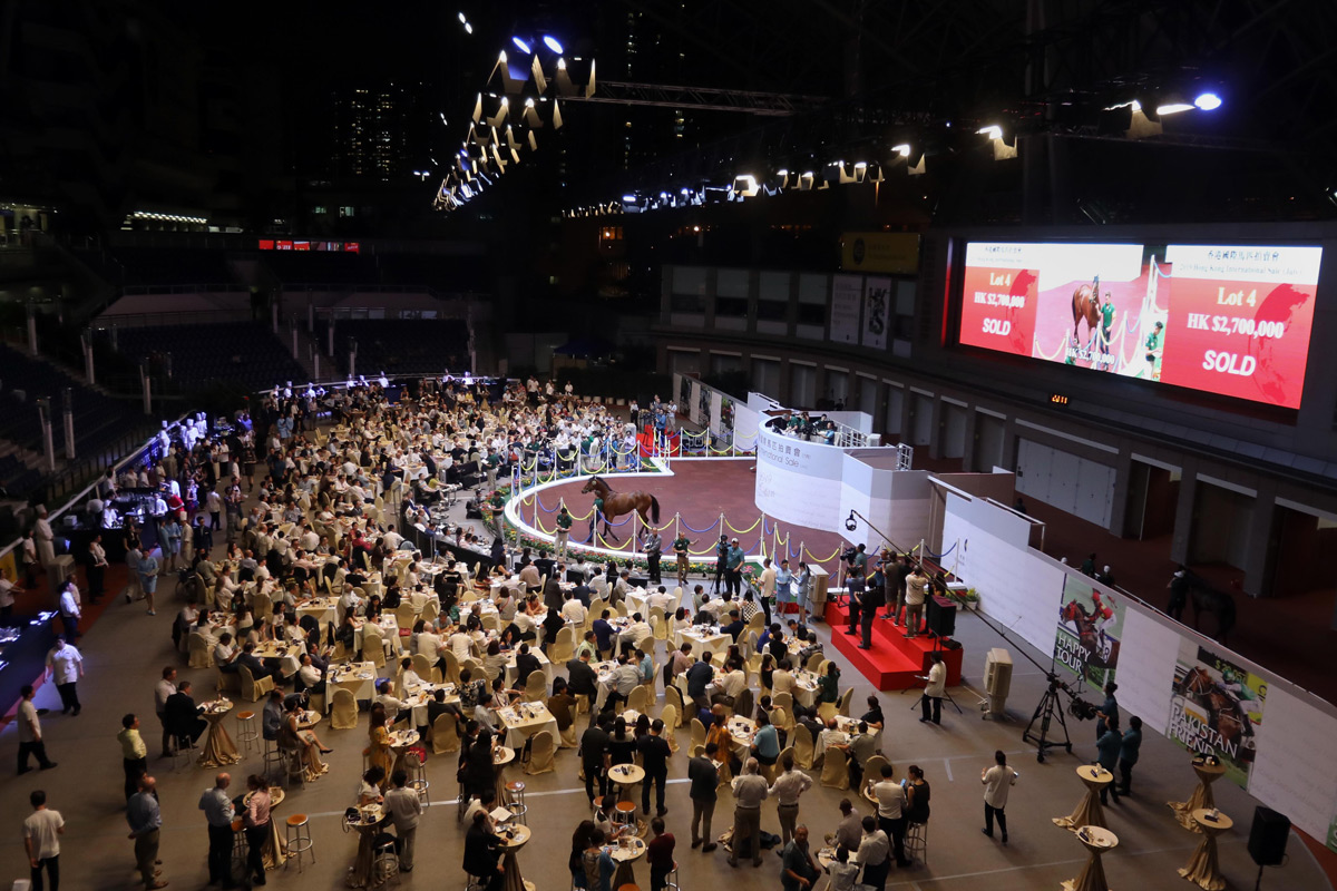A total of 20 lots went under the hammer during the 2019 Hong Kong International Sale (June), held in the parade ring at Sha Tin Racecourse tonight.