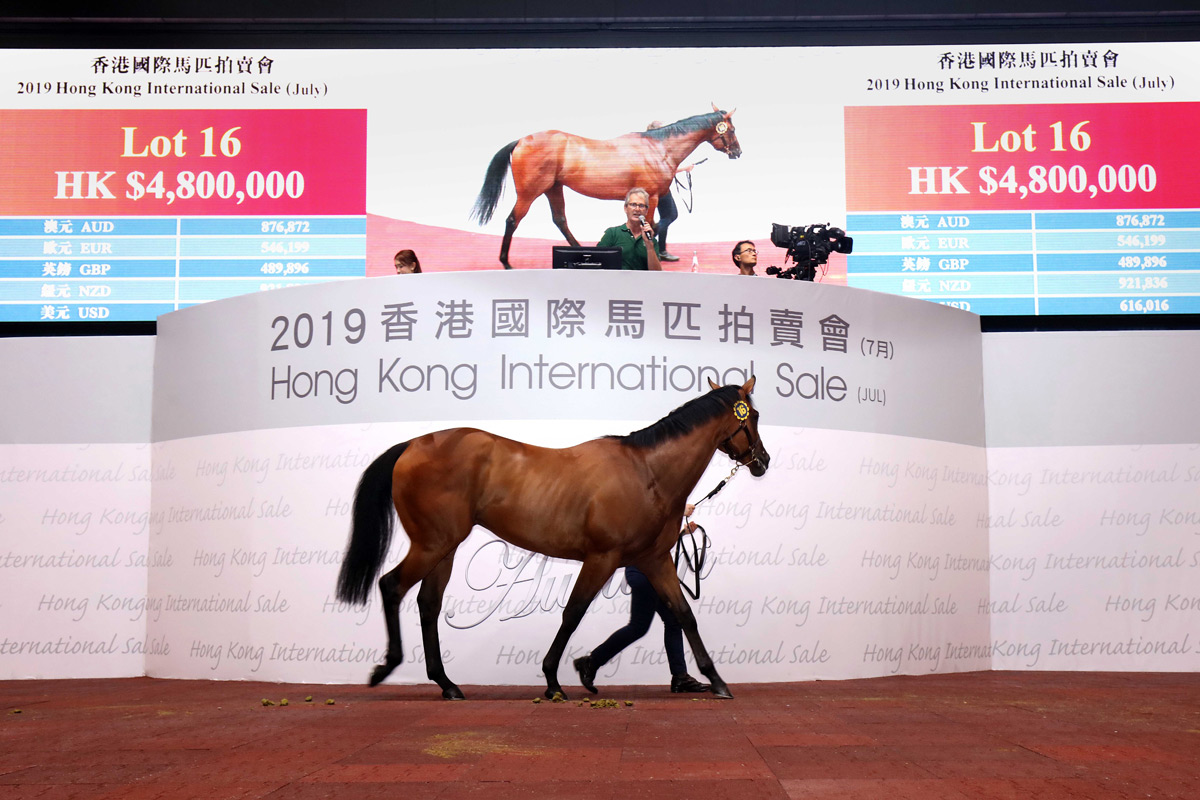 Lot 16 (Kodiac ex Mine Inning), purchased by Johnson Chen, was knocked down for HK$4.8 million, the highest purchase price at tonight’s sale.