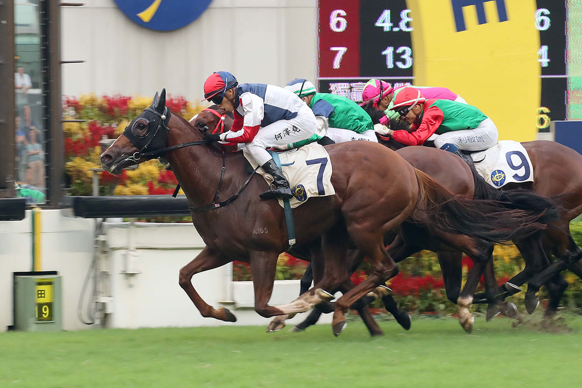 Fast Most Furious (No. 7), trained by David Hall and ridden by Vincent Ho, takes today’s Class 2 Hong Kong Racehorse Owners Association Trophy (1400m), the final race of the 2018/19 season.