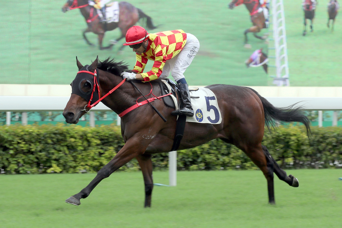 Shining Ace wins under Joao Moreira last time.