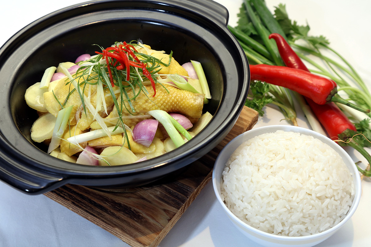 Poached Chicken with Ginger and Green Onion in Claypot, Rice