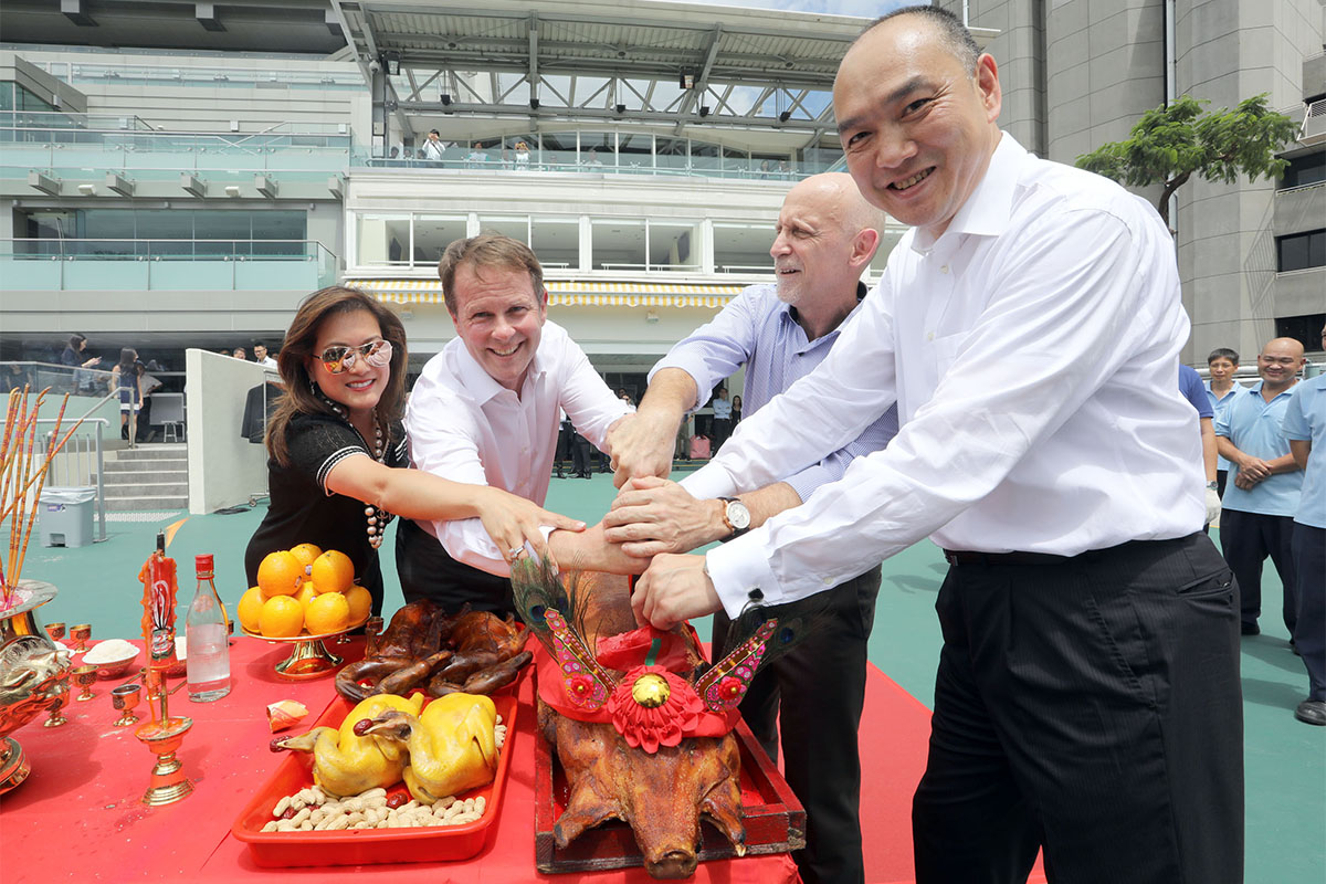 Senior Club officials carve the roasted pigs at the bai sun ceremony.